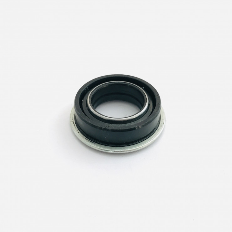 Сальник 25х41х11 CHAMPION BC9713,9714 вала привода фрез/ВС9714 промежуточного вала	 (120150280024)