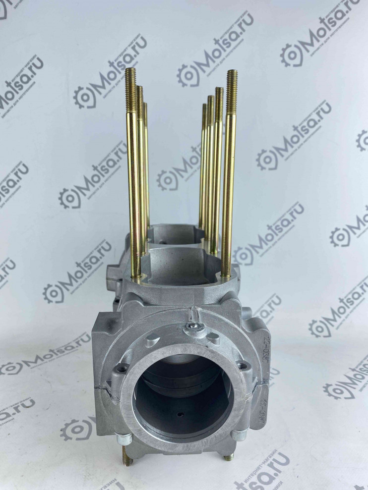 Картер снегоход Тайга С40500080 РМ