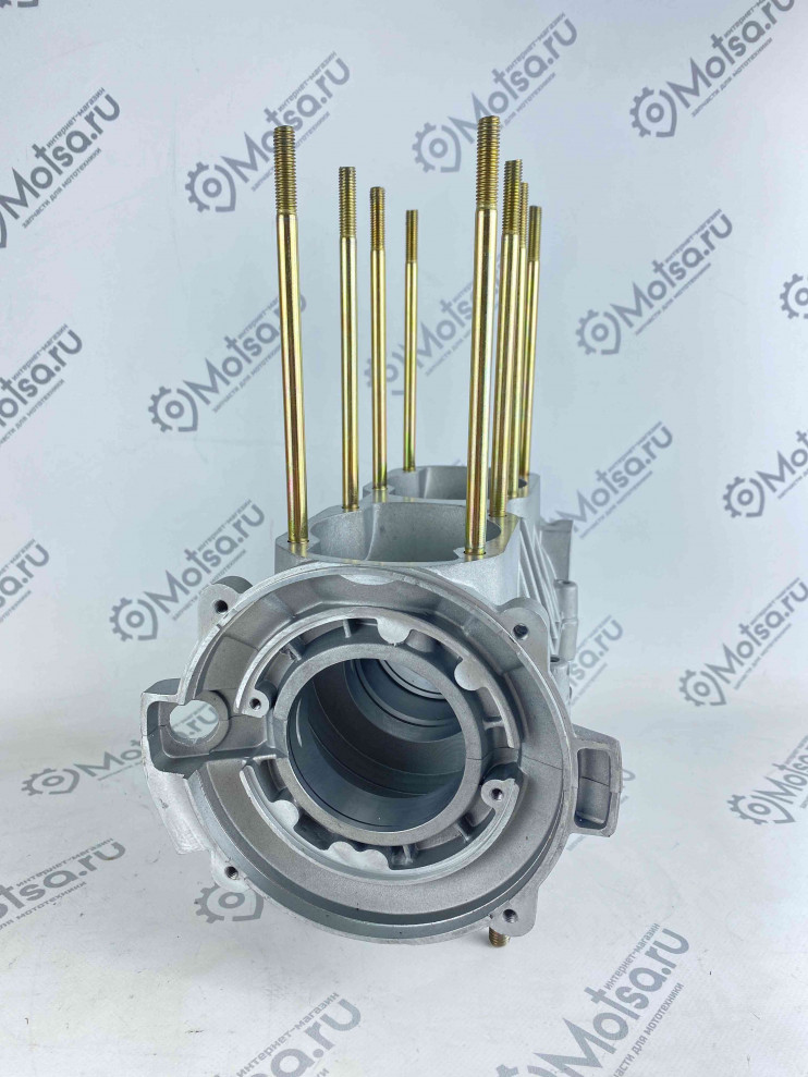 Картер снегоход Тайга С40500080 РМ