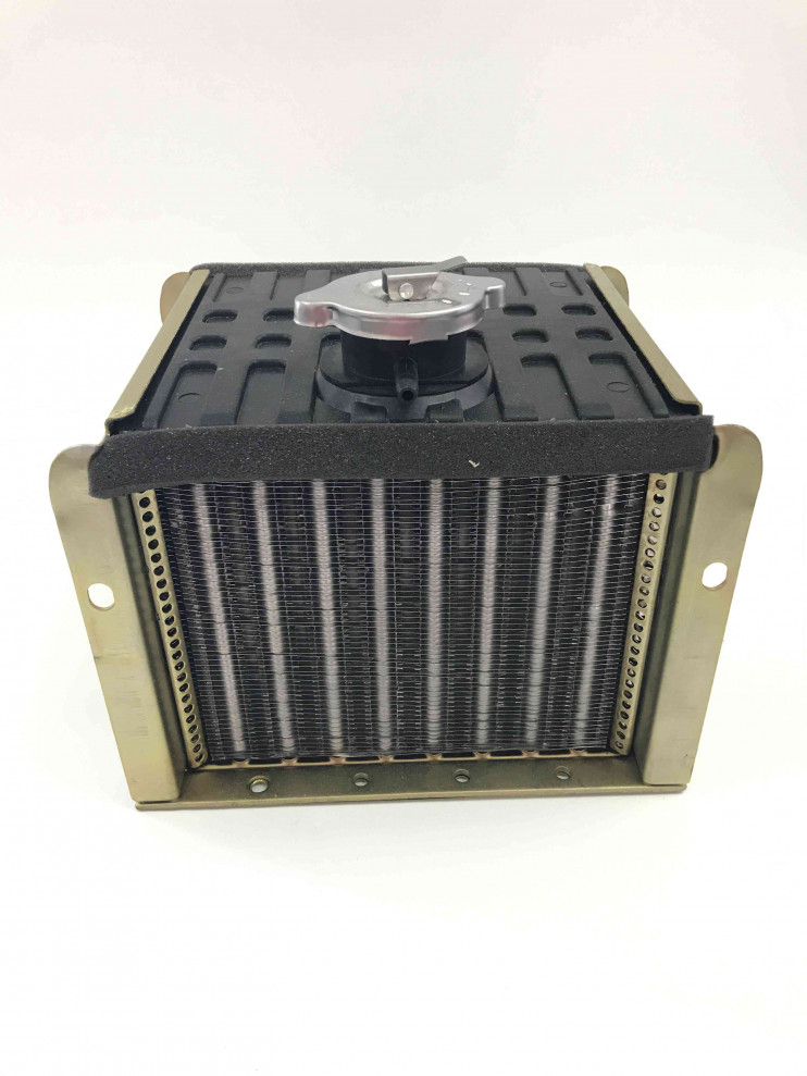 Радиатор двигателя R195