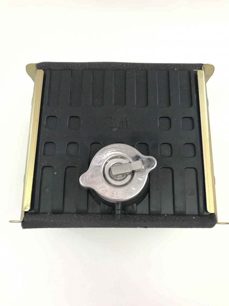 Радиатор двигателя R195