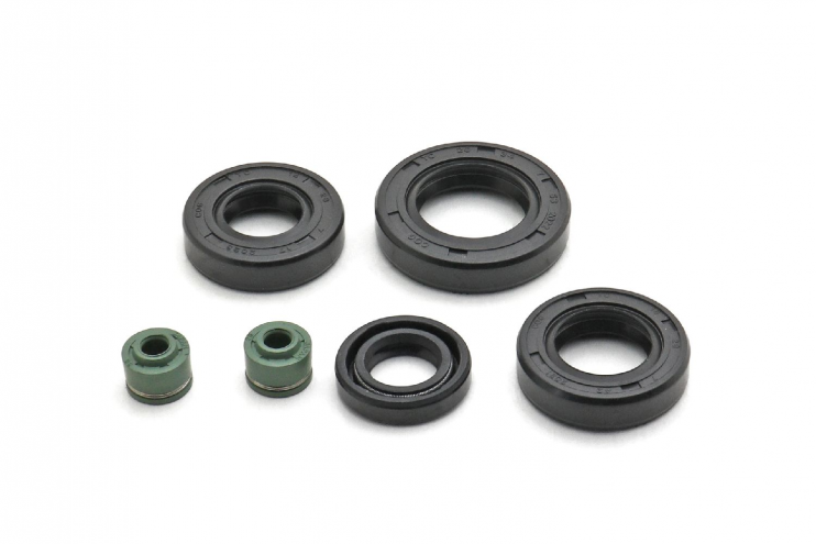 Набор сальников 169FMM CB250 малый