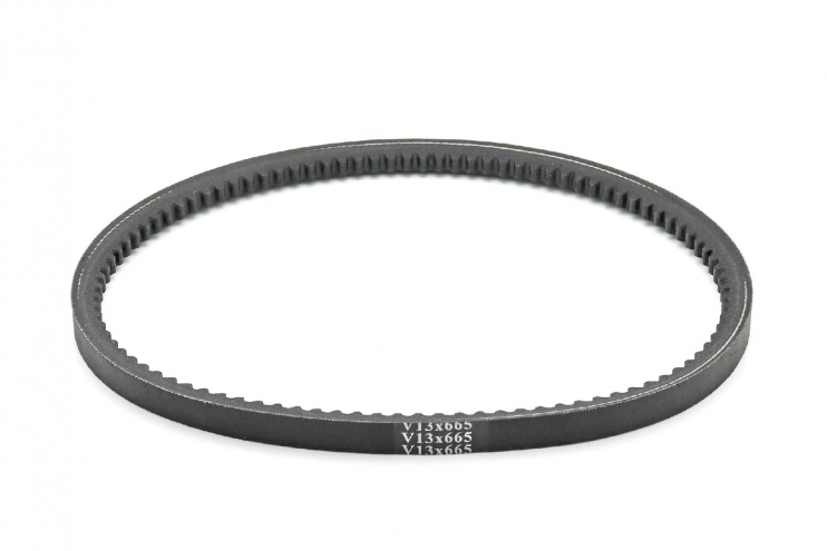 Ремень V13x665 зубчатый Россия на снегоуборщик