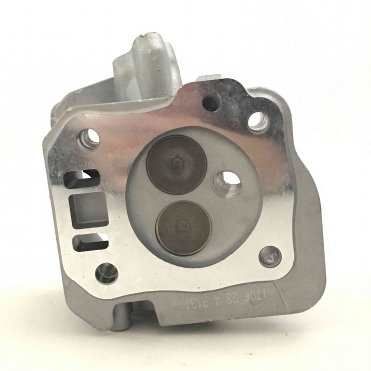 Головка цилиндра 170F в сборе