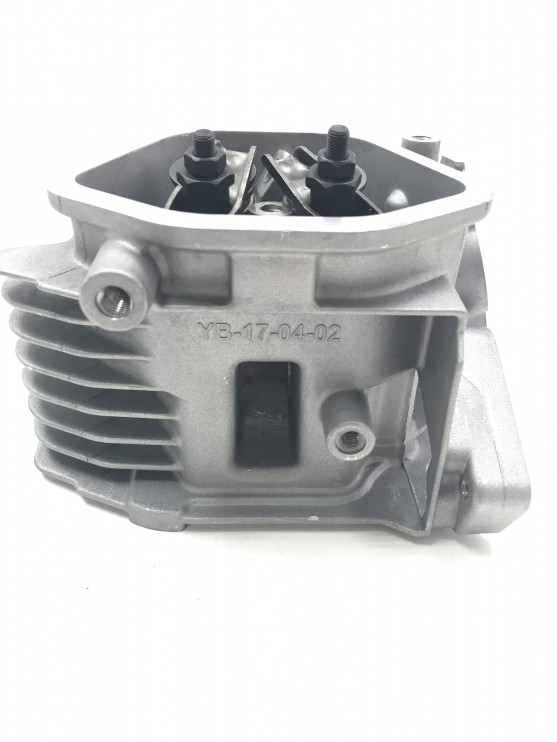 Головка цилиндра 173F-177F в сборе